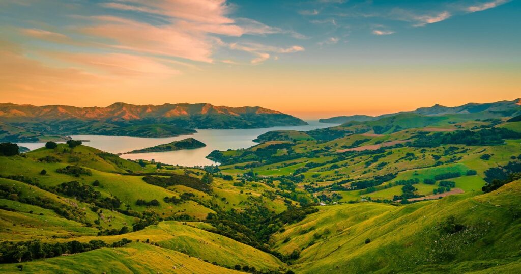new zealand tours