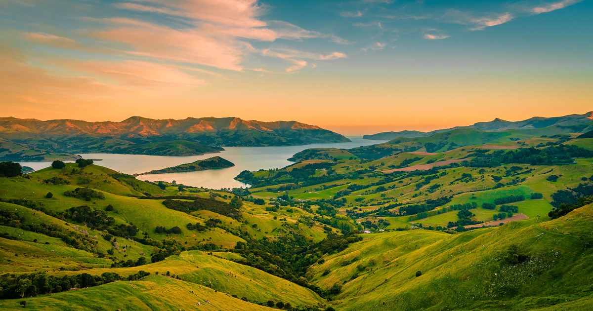 new zealand tours
